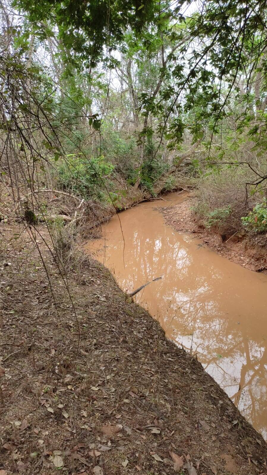 Terreno à venda, 47000m² - Foto 3