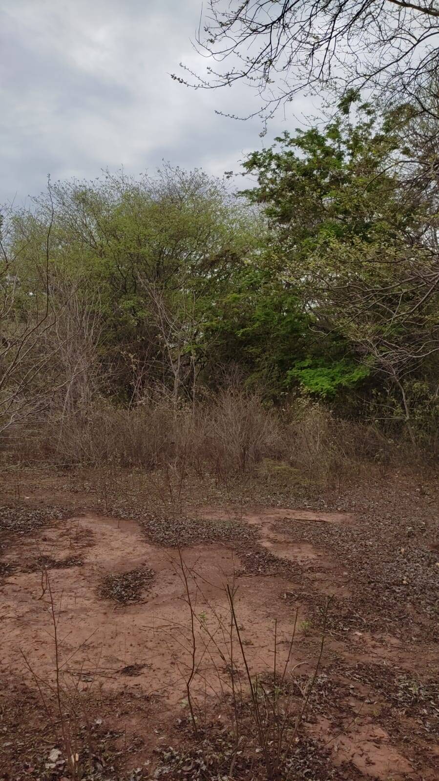 Terreno à venda, 47000m² - Foto 7