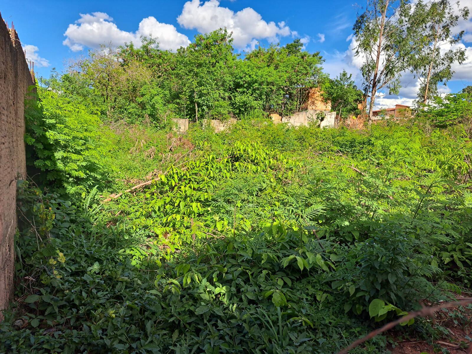 Terreno à venda, 800m² - Foto 2