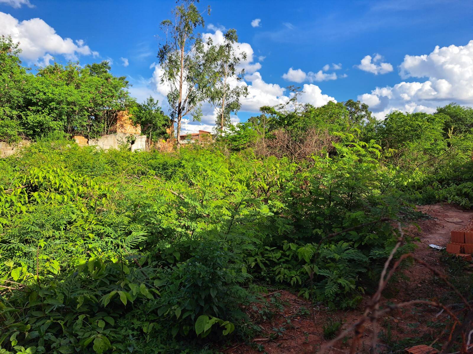 Terreno à venda, 800m² - Foto 3