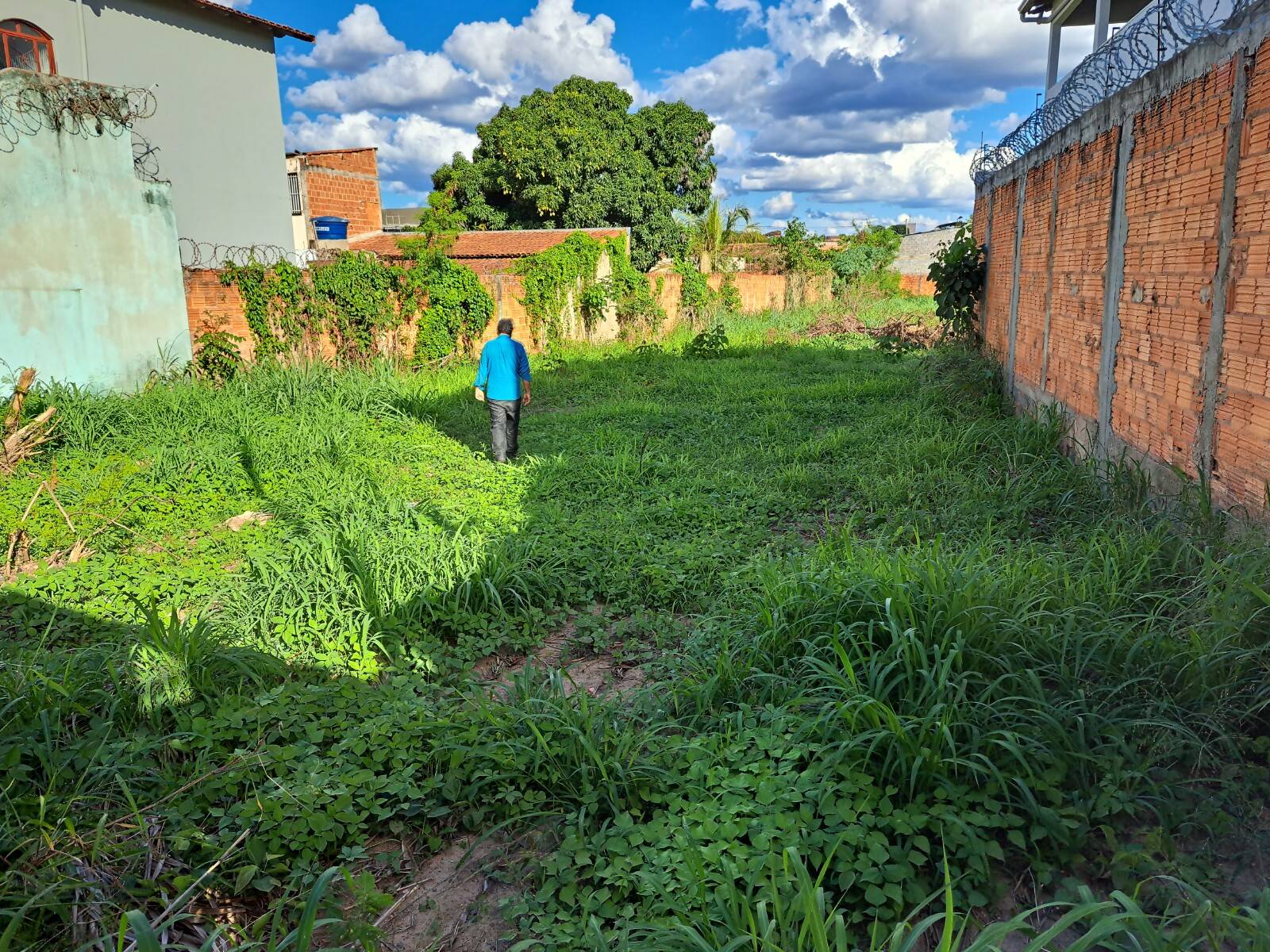 Terreno à venda, 2660m² - Foto 3