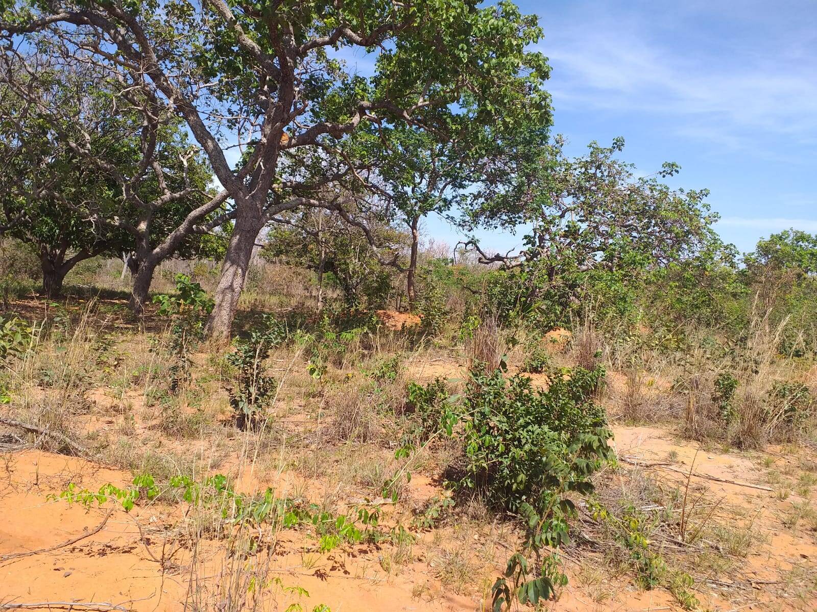 Terreno à venda, 5m² - Foto 2