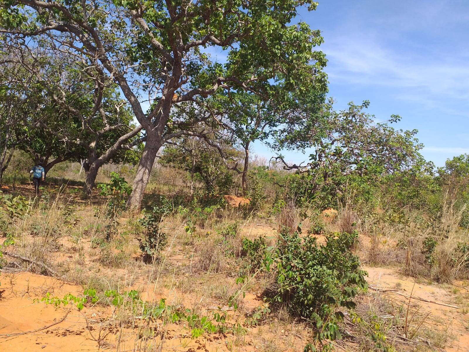 Terreno à venda, 5m² - Foto 3