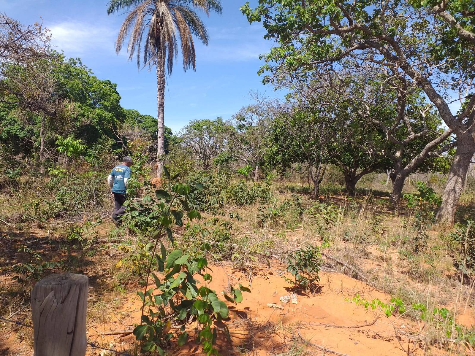 Terreno à venda, 5m² - Foto 5