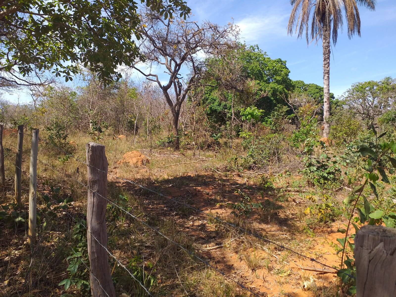 Terreno à venda, 5m² - Foto 4