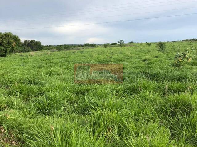 #0022 - Fazenda para Venda em Montes Claros - MG - 2