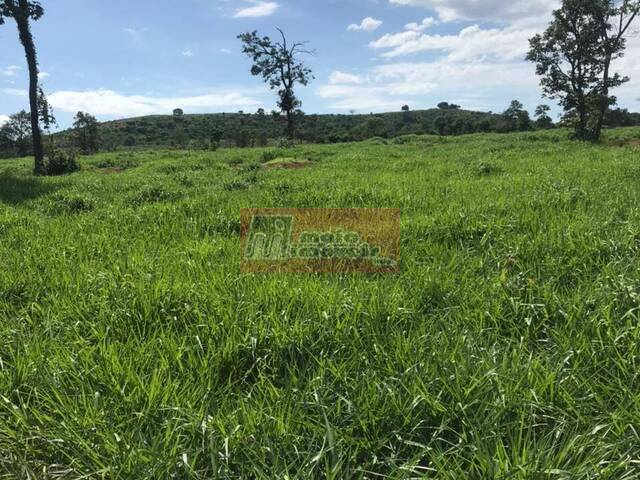 #0022 - Fazenda para Venda em Montes Claros - MG - 3