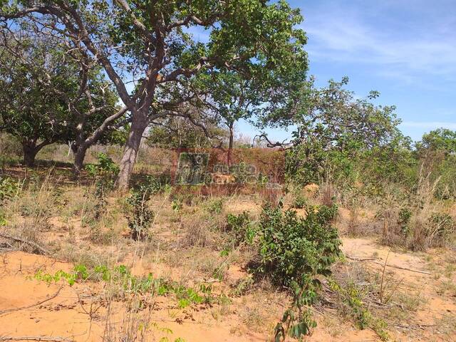 #0062 - Fazenda para Venda em Montes Claros - MG - 2